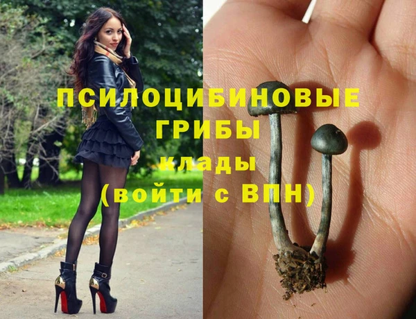 гидропоника Балахна