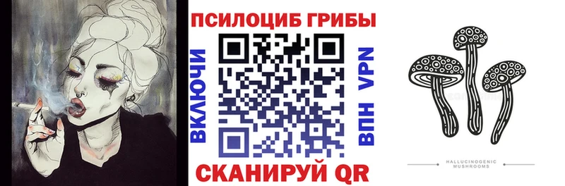 сколько стоит  Белёв  Галлюциногенные грибы мухоморы 